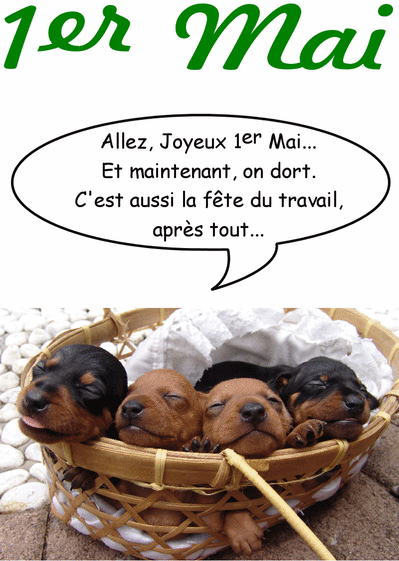 Carte Les Chiots Du 1er Mai : Envoyer une Carte 1er Mai 